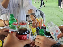 -桃源山庄·水蜜桃采摘·柴火鸡·烧烤团建(龙泉山店)