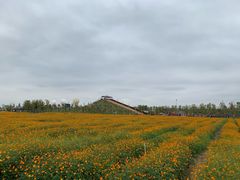 -枫林花海