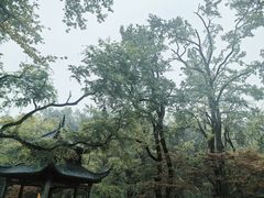 -岳麓山风景名胜区