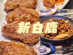 -新白鹿餐厅(虹桥南丰城店)