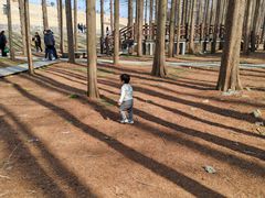 -南京金牛湖风景区