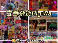 -狮虎桥路