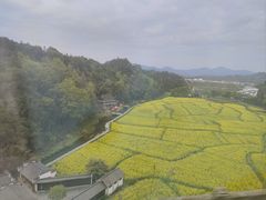 -婺源站
