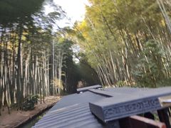 -同里国家湿地公园