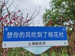 -南汇桃花村