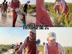 -上海都市菜园