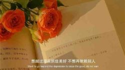 -凡碧诗毛孔清洁收细