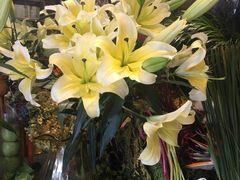 -FEI FEI FLOWER鲜花店·气球派对·宝宝宴布置(虹口德必运动Loft店)