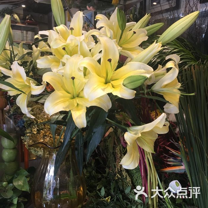 菲菲鮮花店圖片-北京花店-大眾點評網