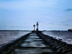 -上海吴淞炮台湾国家湿地公园