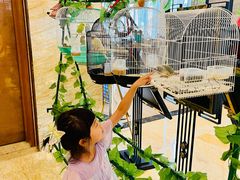 -廊坊固安福朋喜来登酒店