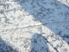 -紫竹院公园冰场