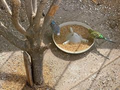 -北京鹿世界主题园