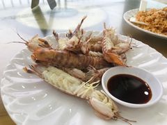 白灼濑尿虾-七鲜渔港美食餐厅(巽寮湾海景店)