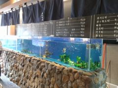 水产区-綱元·海鲜豆捞(明州里店)