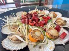-鲁前海沿儿