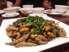 山坑鱼-清远恒大酒店·寻味清远