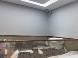 体验前-悟空祛痘·诺奖技术专业店