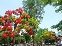 -集美学村