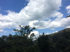 -清迈丛林飞跃 JungleFlight