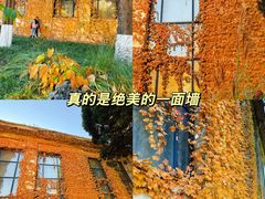 -中国农业博物馆