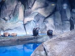 -上海海昌海洋公园-冰山北极馆