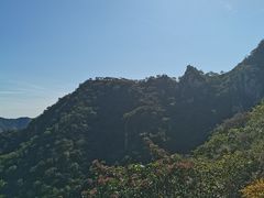 -大岭沟猕猴桃谷风景区