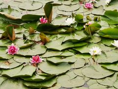 -长春市南湖公园