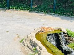 -大连森林动物园