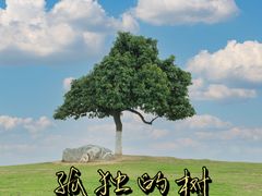 -红花山公园