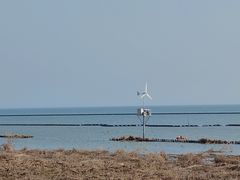 -贡湖湾湿地公园
