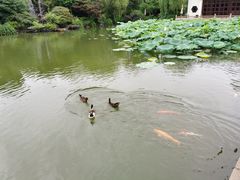 -杭州西子湖四季酒店-WL BISTRO西湖餐厅(灵隐路店)
