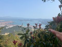 -梧桐山风景名胜区