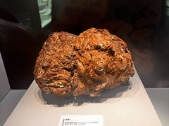 -国家自然博物馆