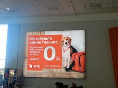 -谢列梅捷沃国际机场