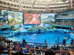 -海合安成都极地海洋公园