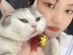 -怪兽屋·羊驼·猫咖·狗咖(俊华广场店)