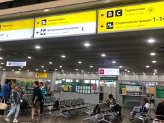 -谢列梅捷沃国际机场