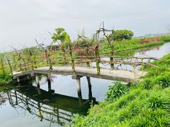 -嘉北郊野公园