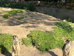 -上海野生动物园
