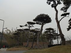 -中国唐苑