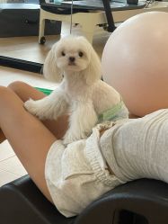 -AN普拉提女子健身工作室