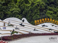 -西双版纳原始森林公园