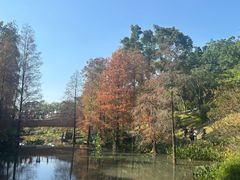 -云溪植物园