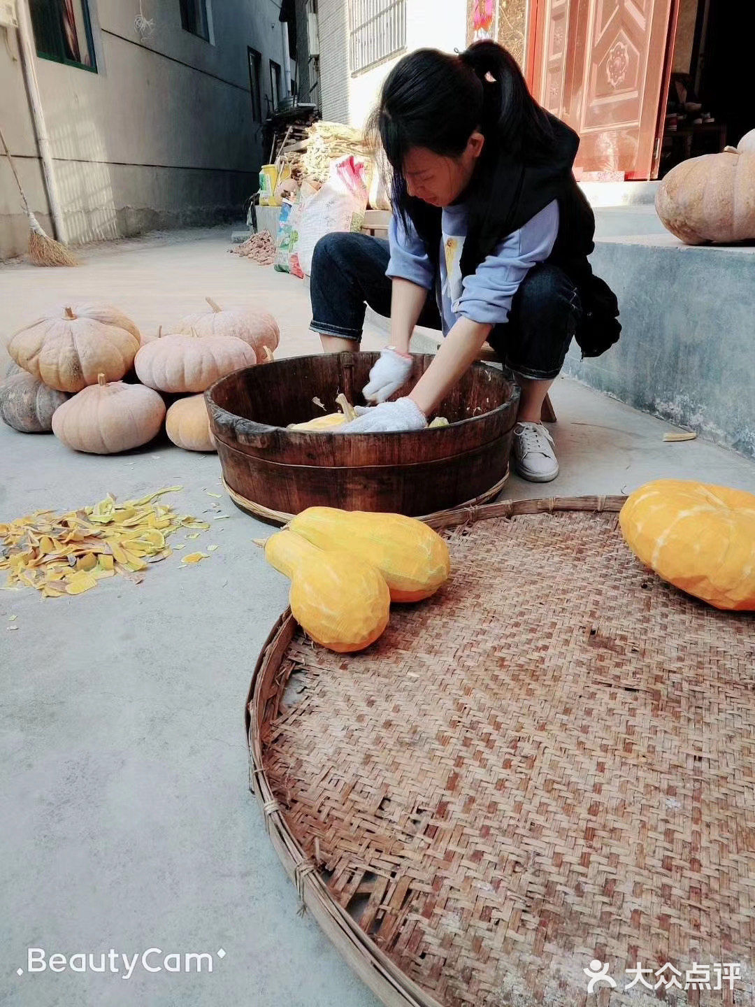 南瓜🎃