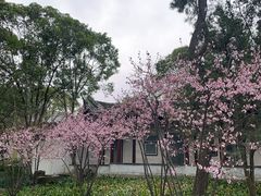 -秋霞圃