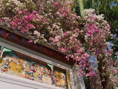 -深圳国际园林花卉博览园