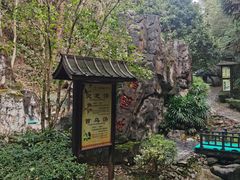 -明月山天沐温泉度假村