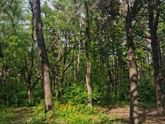 -长春市南湖公园