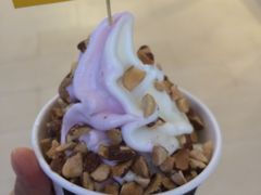 -JW德国冻酸奶Frozen Yogurt(龙湖成都滨江天街店)